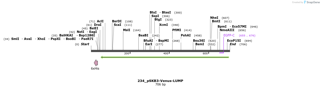 120766_map