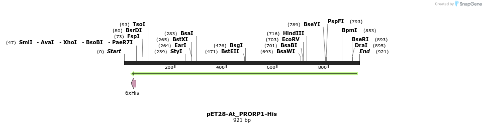 120767_map
