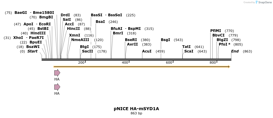 120769_map