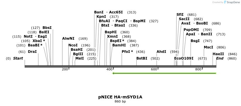 120771_map