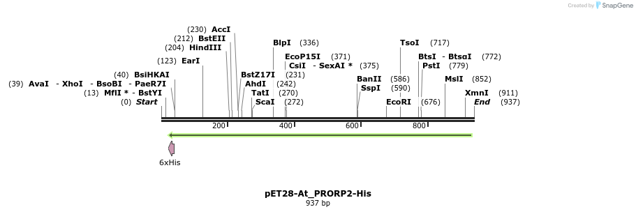 120772_map