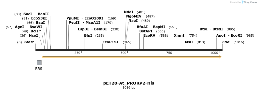 120774_map