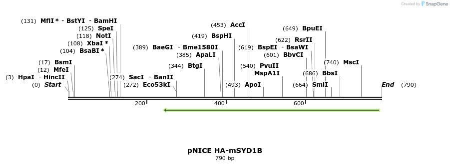 120775_map