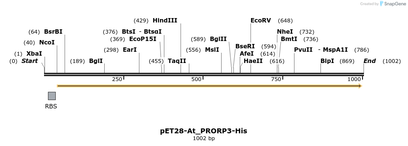120779_map