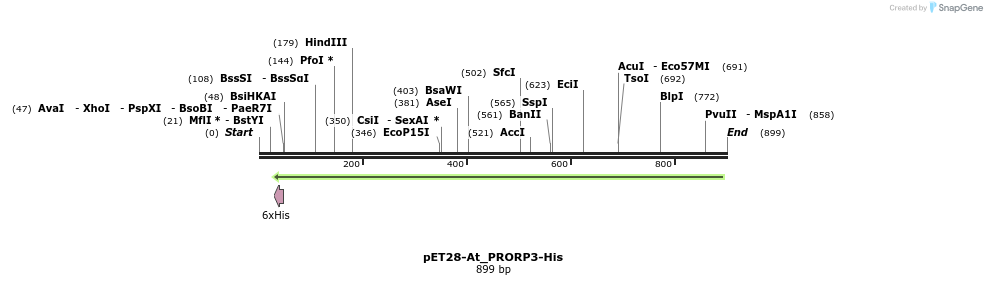 120780_map