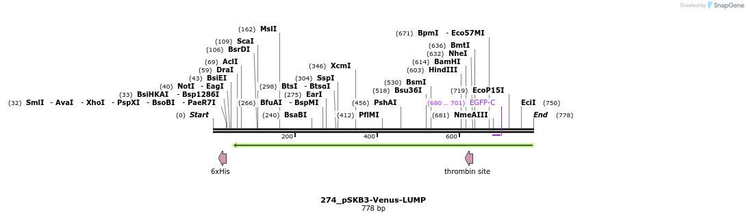 120784_map