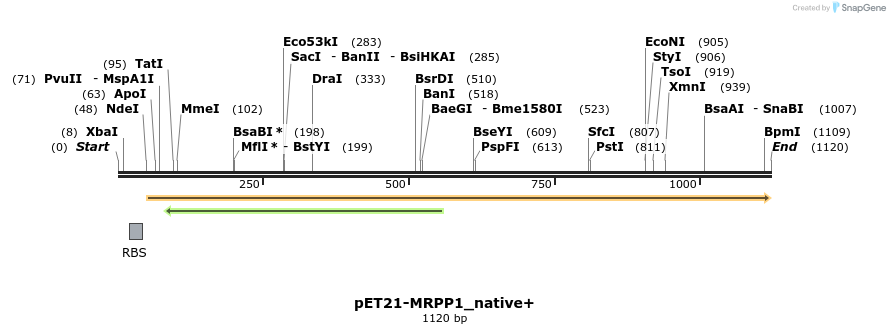120785_map