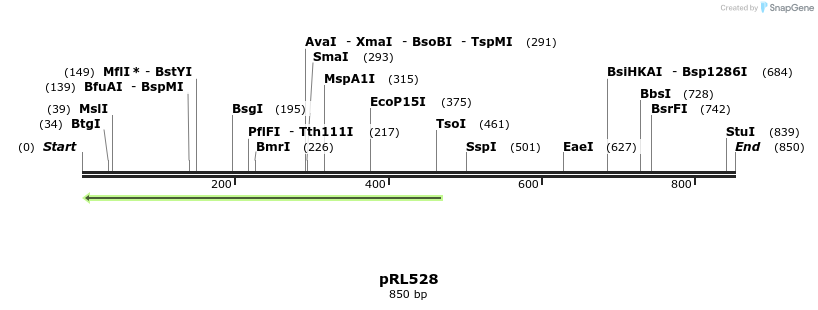 120787_map