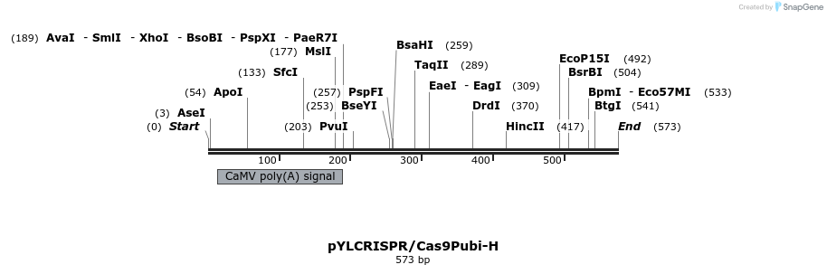 120790_map