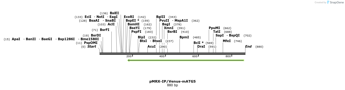 120800_map