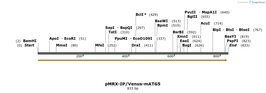 120801_map