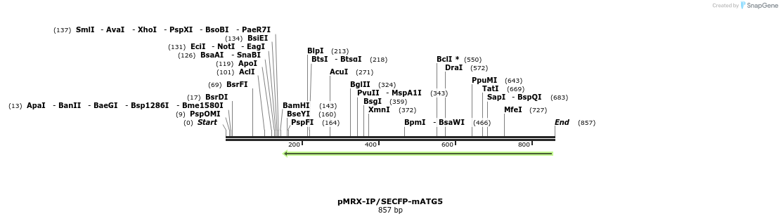120805_map