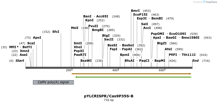120811_map