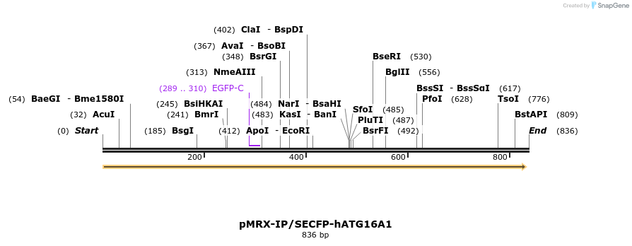 120812_map