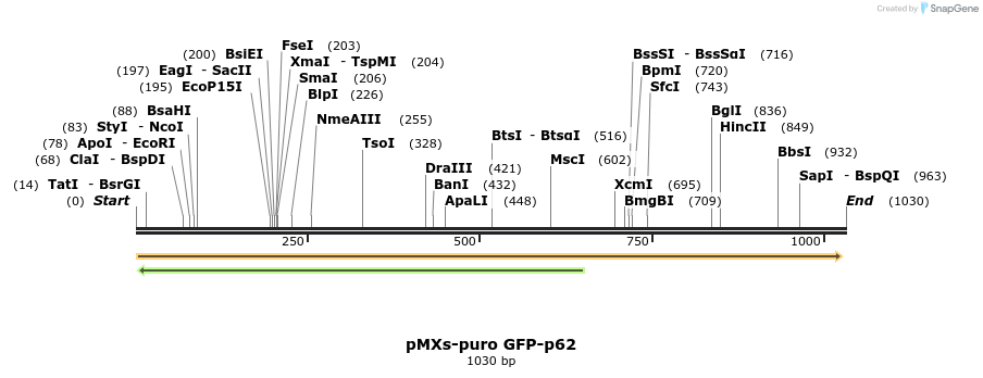 120819_map