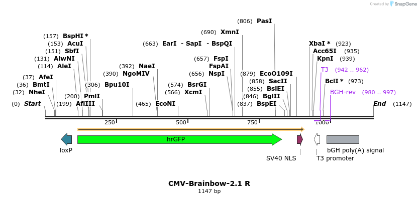120821_map