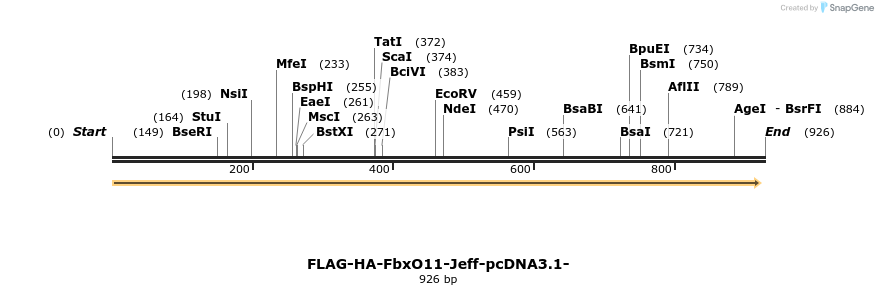 120827_map