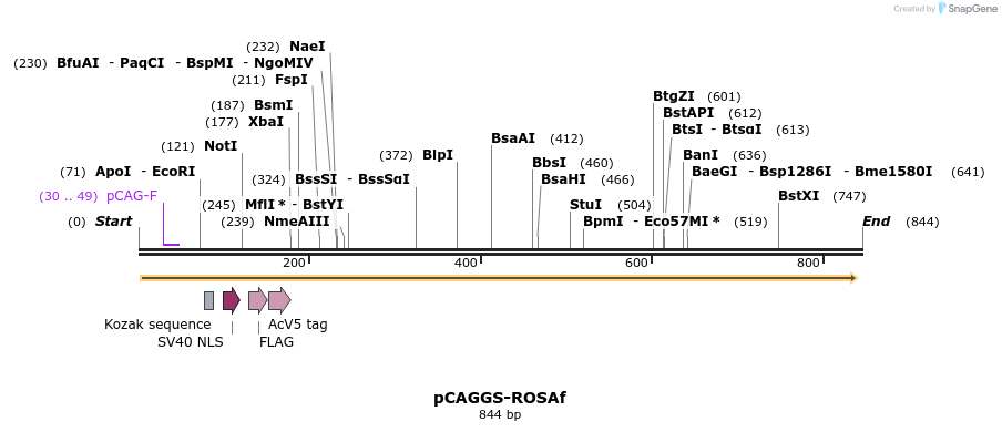 120838_map
