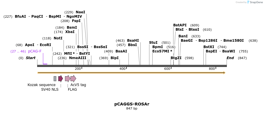 120840_map