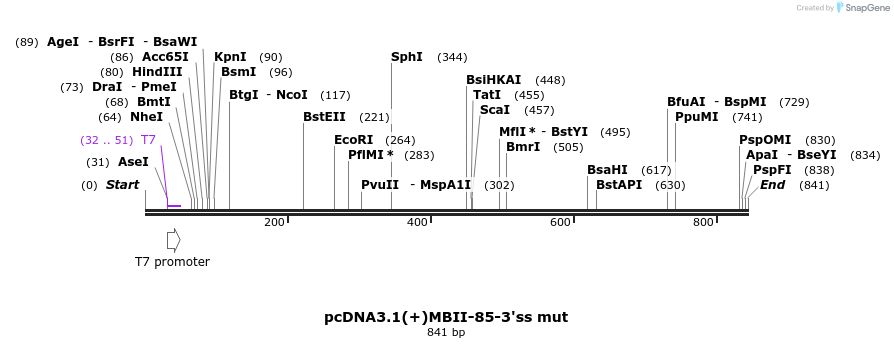 120842_map