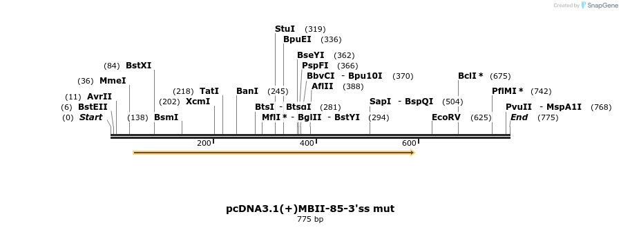 120848_map