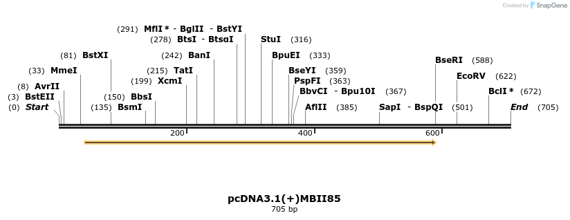 120849_map