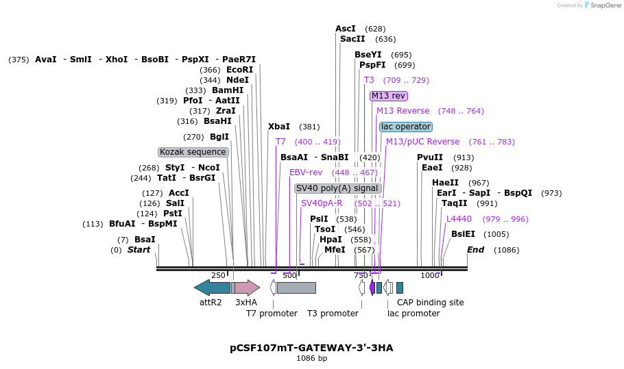120852_map