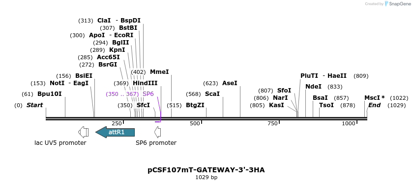 120853_map