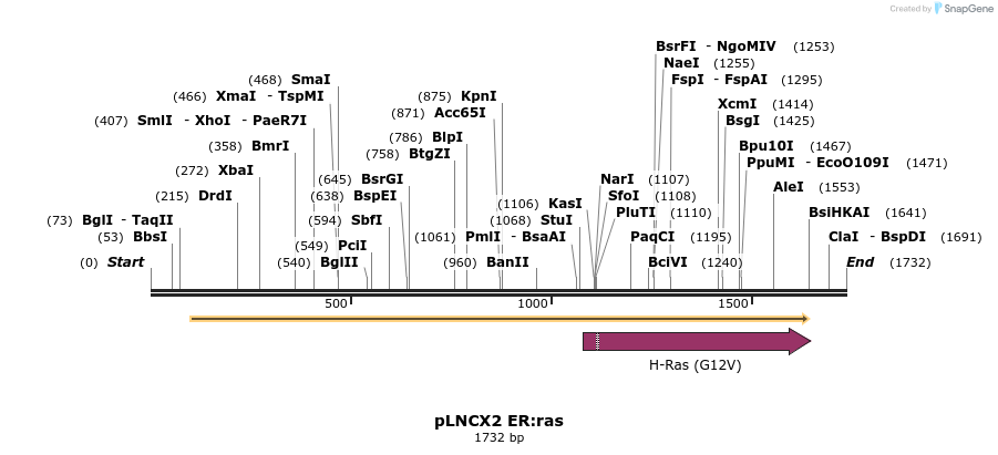 120860_map