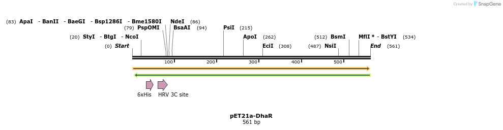 120861_map