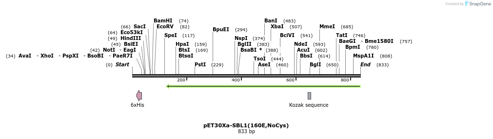 120865_map