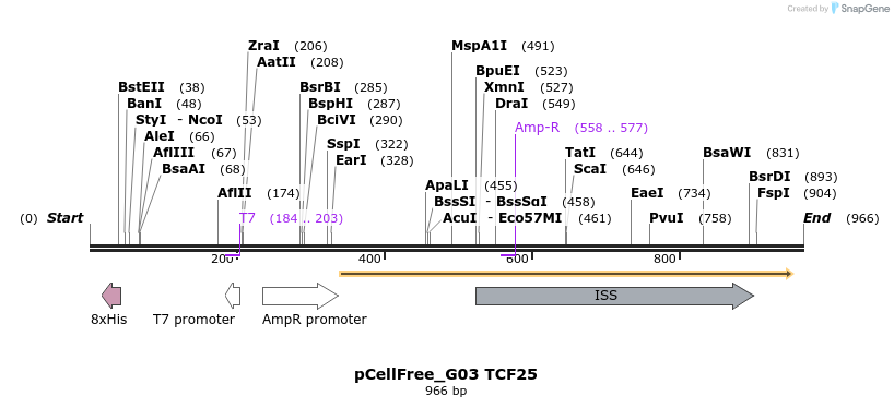 120875_map