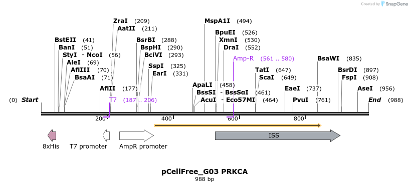 120876_map