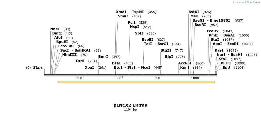 120880_map