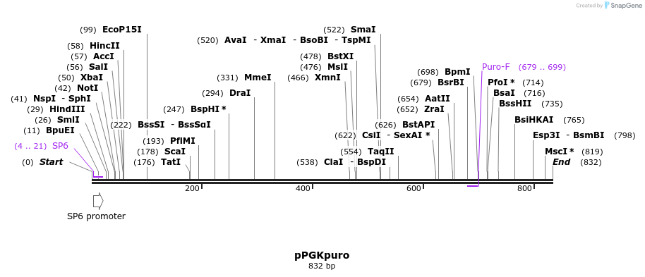 120881_map