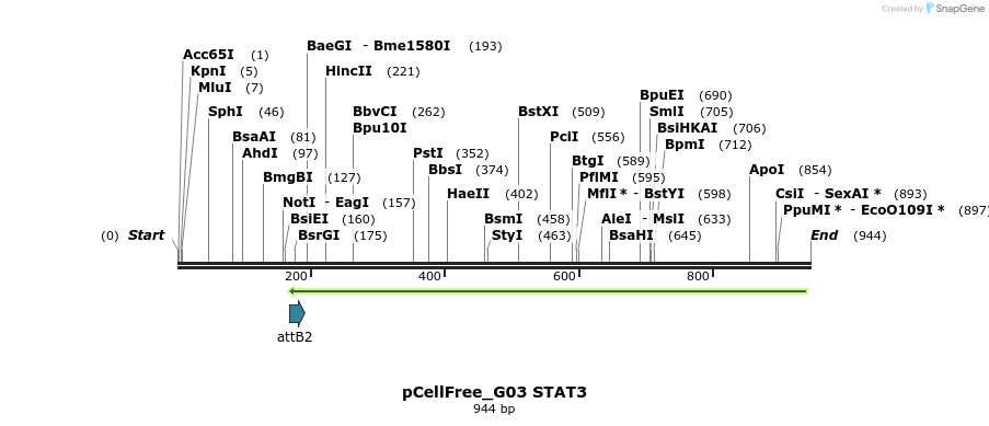 120886_map