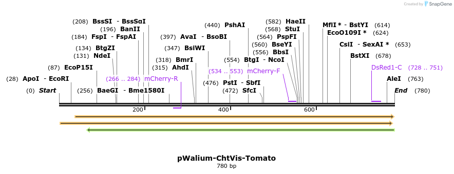 120888_map