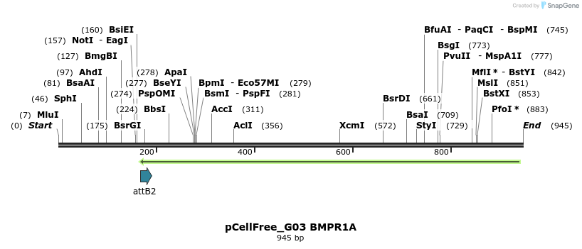 120891_map