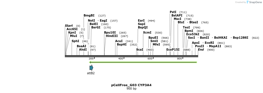 120893_map