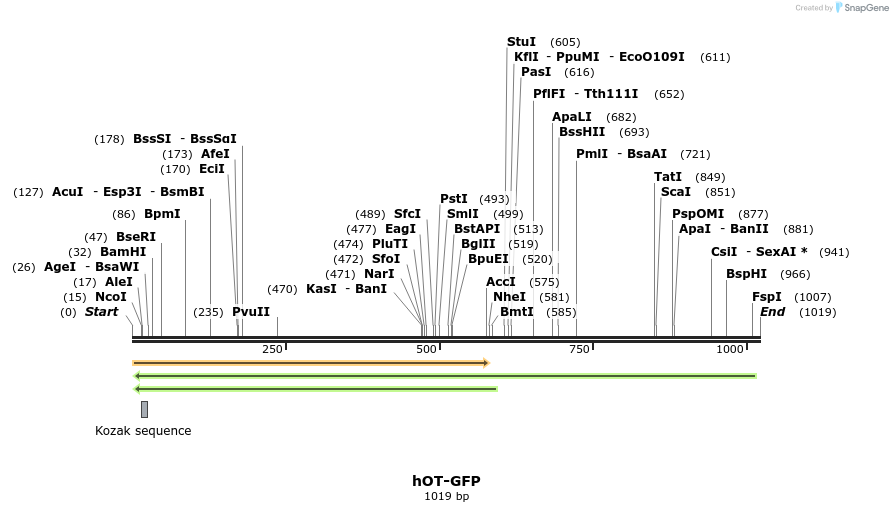 120894_map