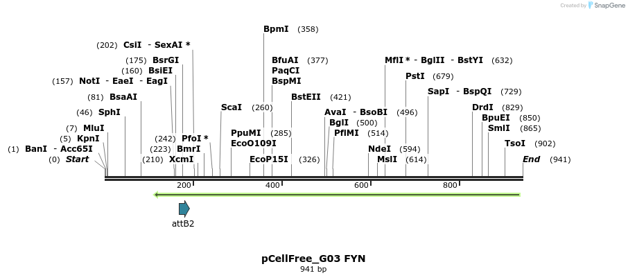 120896_map