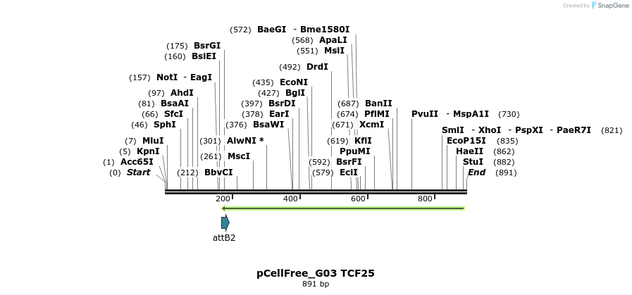 120898_map