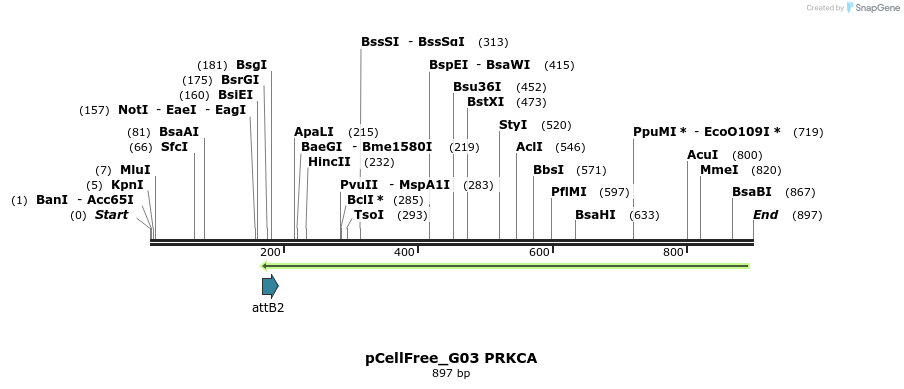120899_map