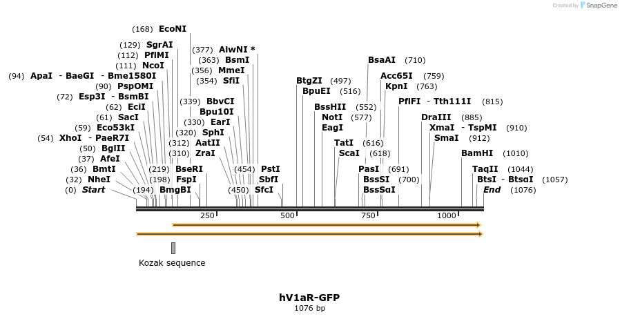 120902_map
