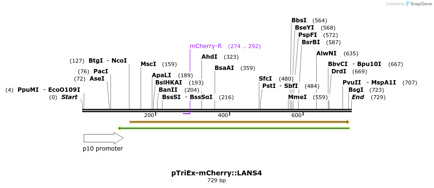 120928_map