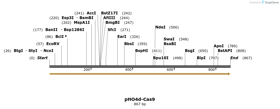 120932_map