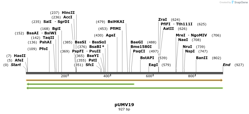 120938_map