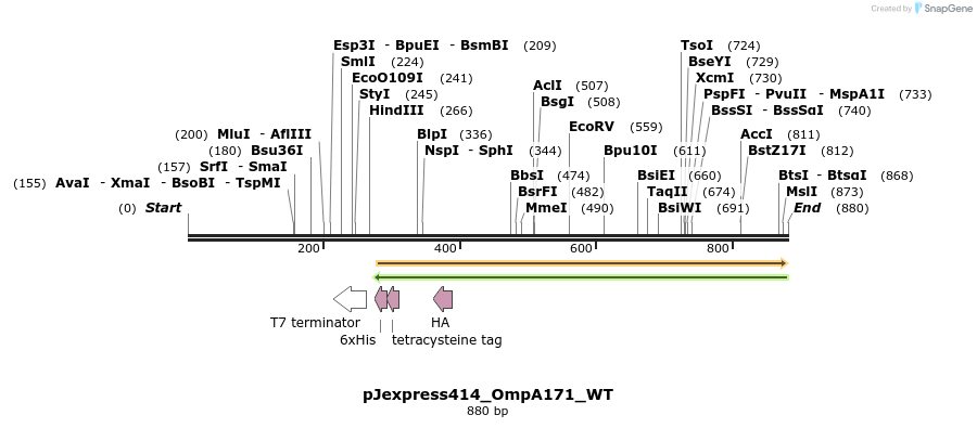 120941_map