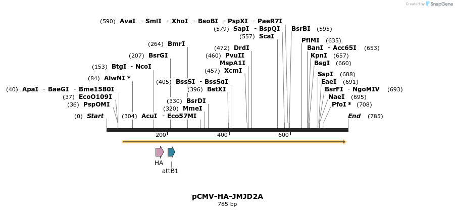 120946_map