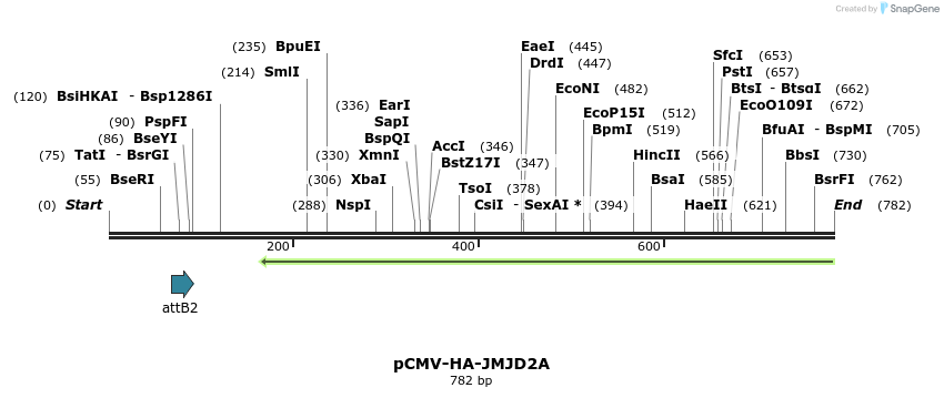 120948_map